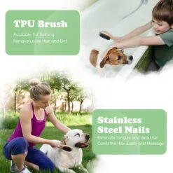 Merkloos Nobleza Dierenborstel - Hondenborstel - Kattenborstel - Tweezijdig - Dubbelzijdig - Hout - Maat L 13 Merkloos Nobleza Dierenborstel - Hondenborstel - Kattenborstel - Tweezijdig - Dubbelzijdig - Hout - Maat L -Honden Benodigdheden Verkoop 1200x1200 255