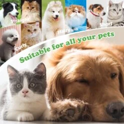 Merkloos Nobleza Dierenborstel - Hondenborstel - Kattenborstel - Tweezijdig - Dubbelzijdig - Hout - Maat L 16 Merkloos Nobleza Dierenborstel - Hondenborstel - Kattenborstel - Tweezijdig - Dubbelzijdig - Hout - Maat L -Honden Benodigdheden Verkoop 1200x1200 257