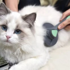 Pakeway Kattenborstel – Hondenborstel – Haarverwijderaar Voor Huisdieren – Kattenkam - Kortharig - Langharig - Inclusief Ebook! 12 Pakeway Kattenborstel – Hondenborstel – Haarverwijderaar Voor Huisdieren – Kattenkam - Kortharig - Langharig - Inclusief Ebook! -Honden Benodigdheden Verkoop 1200x1200 289