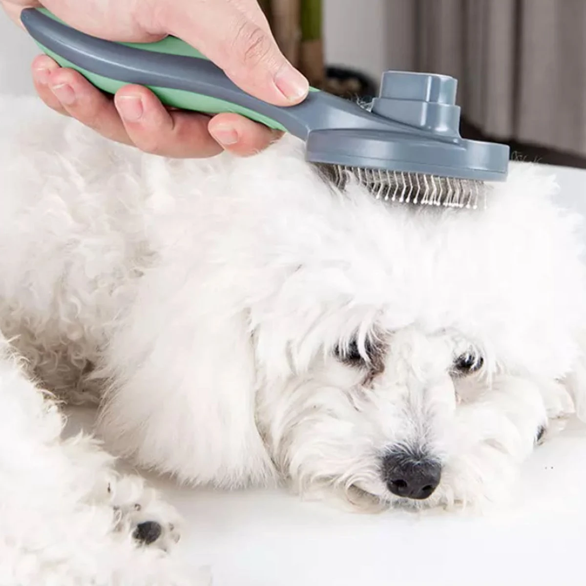 Pakeway Kattenborstel – Hondenborstel – Haarverwijderaar Voor Huisdieren – Kattenkam - Kortharig - Langharig - Inclusief Ebook! 8 Pakeway Kattenborstel – Hondenborstel – Haarverwijderaar Voor Huisdieren – Kattenkam - Kortharig - Langharig - Inclusief Ebook! - Afbeelding 6