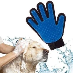 Merkloos Vachtverzorgingshandschoenen Kat En Hond - Huisdieren Handschoen - 2 Stuks 10 Merkloos Vachtverzorgingshandschoenen Kat En Hond - Huisdieren Handschoen - 2 Stuks -Honden Benodigdheden Verkoop 1200x1200 292