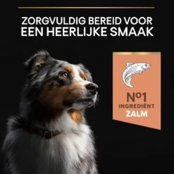 Pro Plan Medium Adult Sensitive Skin - Honden Droogvoer - Zalm - 14 Kg 28 Pro Plan Medium Adult Sensitive Skin - Honden Droogvoer - Zalm - 14 Kg -Honden Benodigdheden Verkoop 1200x1200 32