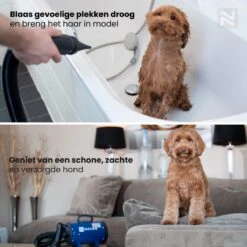 Nuvoo Professionele Hondenföhn / Waterblazer / Hondenborstel Met 3 Opzetstukken - Verstelbare Vermogen Tot 2200W - Warme / Koude Stand - Rood -Honden Benodigdheden Verkoop 1200x1200 356