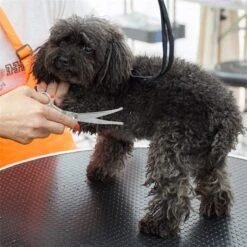 Merkloos Premium Gebogen Trimschaar Honden - Huisdier Trimmen - Hoofd, Poten Ogen & Oren - Kat & Hond Knippen - Veilige Schaar -Honden Benodigdheden Verkoop 1200x1200 368