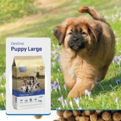 Carocroc Puppy Large Breed 3 KG -Honden Benodigdheden Verkoop 1200x1200 4