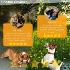 AVE Pets® Complete Hondentondeuse Set - Draadloos Tondeuse - Scheerapparaat Voor Je Hond Of Kat - Huisdier Trimmer - Professionele Dierentondeuse - Dieren Verzorging -Honden Benodigdheden Verkoop 1200x1200 420