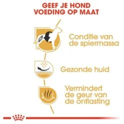 Royal Canin French Bulldog Adult 9 KG 17 Royal Canin French Bulldog Adult 9 KG -Honden Benodigdheden Verkoop 1200x1200 43