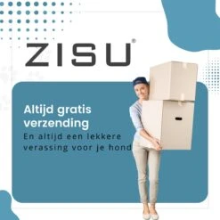 Hondentondeuse - Hondentrimmer - Dieren Tondeuse - Draadloos - 4 Opzetkammen - INCLUSIEF SNACKJE - Zwart -Honden Benodigdheden Verkoop 1200x1200 434