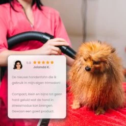 Qumax Professionele Hondenföhn Met 4 Opzetstukken – Waterblazer Voor Honden – Stil Design – Compact En Modern - Zwart -Honden Benodigdheden Verkoop 1200x1200 441