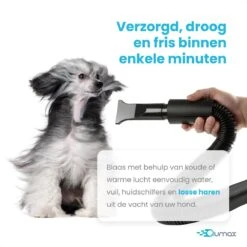 Qumax Professionele Hondenföhn Met 4 Opzetstukken – Waterblazer Voor Honden – Stil Design – Compact En Modern - Zwart -Honden Benodigdheden Verkoop 1200x1200 442