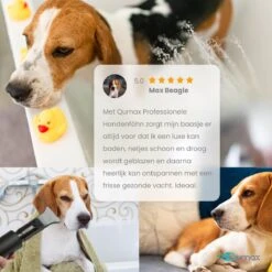 Qumax Professionele Hondenföhn Met 4 Opzetstukken – Waterblazer Voor Honden – Stil Design – Compact En Modern - Zwart -Honden Benodigdheden Verkoop 1200x1200 443