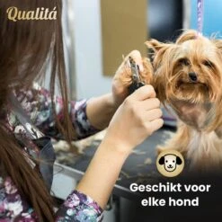Merkloos Professionele Honden Tondeuse Set - Tondeuse Voor Huisdier Honden En Katten - Hondentrimmer - Hondentondeuse 14 Merkloos Professionele Honden Tondeuse Set - Tondeuse Voor Huisdier Honden En Katten - Hondentrimmer - Hondentondeuse -Honden Benodigdheden Verkoop 1200x1200 452