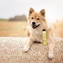 Greenfields Hondenshampoo Voor Langharige Vacht - Zorgt Voor Een Zijdezachte Glanzende Vacht - Inhoud 270 Ml - Hondenshampoo Langharige Vacht -Honden Benodigdheden Verkoop 1200x1200 465