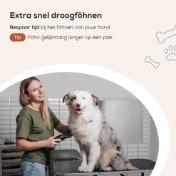 MiMOPETS® Hondenföhn Met 4 Opzetstukken – Waterblazer Voor Honden Met Geluiddemper -Hondendroger - Zwart 17 MiMOPETS® Hondenföhn Met 4 Opzetstukken – Waterblazer Voor Honden Met Geluiddemper -Hondendroger - Zwart -Honden Benodigdheden Verkoop 1200x1200 473