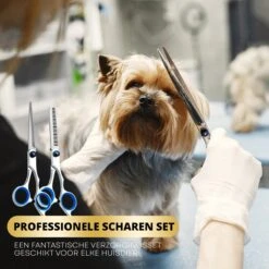 BeautyFit - 16-delig Hondentondeuse Set - Professionele Honden Trimset - Dieren Tondeuse Voor Dikke Vacht - Meest Complete Set - Inclusief 4 Opzetkammen - Hondenschaar - Mist Verstuiver - Handschoen Borstel - Nagelknipper 15 BeautyFit - 16-delig Hondentondeuse Set - Professionele Honden Trimset - Dieren Tondeuse Voor Dikke Vacht - Meest Complete Set - Inclusief 4 Opzetkammen - Hondenschaar - Mist Verstuiver - Handschoen Borstel - Nagelknipper -Honden Benodigdheden Verkoop 1200x1200 477