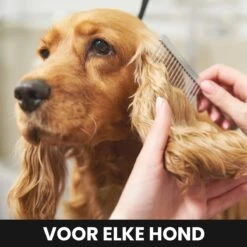Hondentondeuse - Honden & Katten - Trimmer - Geluidsloos -Honden Benodigdheden Verkoop 1200x1200 487