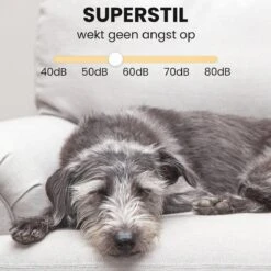 Hondentondeuse - Honden & Katten - Trimmer - Geluidsloos -Honden Benodigdheden Verkoop 1200x1200 488