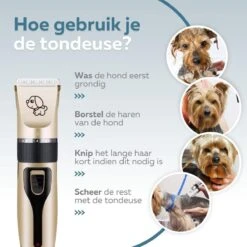 BYER Professionele Dieren Tondeuse Set - Voor Huisdieren Katten & Honden - Draadloos - Oplaadbare Pet Trimmer - Dog Tondeuze Clipper - 5 Standen & Vier Opzetkammen - Low Noise -Honden Benodigdheden Verkoop 1200x1200 493
