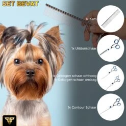 Toivo Schaar Voor Dieren - Zilver - Effileerscharen - Honden Scharenset - Dierenschaar - Set 5 Stuks - Trimscharen - Trimset - Uitdunschaar Hond - Schaar Honden 16 Toivo Schaar Voor Dieren - Zilver - Effileerscharen - Honden Scharenset - Dierenschaar - Set 5 Stuks - Trimscharen - Trimset - Uitdunschaar Hond - Schaar Honden -Honden Benodigdheden Verkoop 1200x1200 498