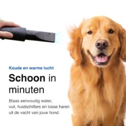 Vivid Green Waterblazer Met 3 Opzetstukken - Hondenfohn - Voor Honden - Met Geluiddemper - 2800W -Honden Benodigdheden Verkoop 1200x1200 512