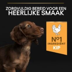 Pro Plan Healthy Start Puppy Small & Mini - Honden Droogvoer - Kip - 3 Kg -Honden Benodigdheden Verkoop 1200x1200 52