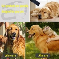 Hondenfohn - Waterblazer Met Draaiknop - 2400W Vermogen Met Warme En Koude Stand - Wit 23 Hondenfohn - Waterblazer Met Draaiknop - 2400W Vermogen Met Warme En Koude Stand - Wit -Honden Benodigdheden Verkoop 1200x1200 525