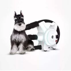 Hondenfohn - Waterblazer Met Draaiknop - 2400W Vermogen Met Warme En Koude Stand - Wit 25 Hondenfohn - Waterblazer Met Draaiknop - 2400W Vermogen Met Warme En Koude Stand - Wit -Honden Benodigdheden Verkoop 1200x1200 526