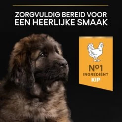 Pro Plan Healthy Start Puppy Large Robust - Honden Droogvoer - Kip - 12 Kg -Honden Benodigdheden Verkoop 1200x1200 53