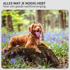 Hondenföhn/Waterblazer - Verstelbare Vermogen Standen (500W Tot 2400W) En Verstelbare Temperatuur - Zwart -Honden Benodigdheden Verkoop 1200x1200 534