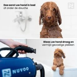 Nuvoo Professionele Hondenföhn / Waterblazer / Hondenborstel Met 3 Opzetstukken - Verstelbare Vermogen Tot 2200W - Warme / Koude Stand - Blauw -Honden Benodigdheden Verkoop 1200x1200 537