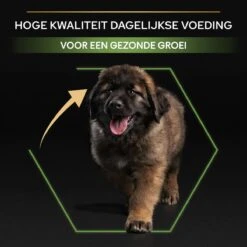 Pro Plan Healthy Start Puppy Large Robust - Honden Droogvoer - Kip - 12 Kg -Honden Benodigdheden Verkoop 1200x1200 54