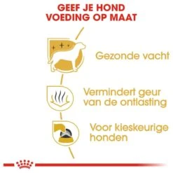 Royal Canin Maltese Adult 1.5 KG -Honden Benodigdheden Verkoop 1200x1200 58