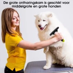 Mister Mill Trimhark - Hondenkam Kattenkam - Dierenkam 6,6 CM 17 Mister Mill Trimhark - Hondenkam Kattenkam - Dierenkam 6,6 CM -Honden Benodigdheden Verkoop 1200x1200 603