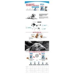 Royal Canin Maxi Puppy 4 KG -Honden Benodigdheden Verkoop 1200x1200 62