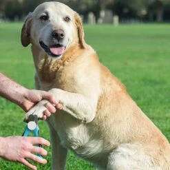 WVspecials® Professionele Dieren Nagelschaar Met Led Licht - Dieren Nagelschaar - Nagelschaar Hond - Honden Nagelknipper - Hondennagels - Honden Knip Schaar - Nageltang - Met LED Licht, Veiligheidsstop En Nagelvijl - Black Friday - Sinterklaas -Honden Benodigdheden Verkoop 1200x1200 630