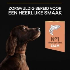 Pro Plan Large Atlethic Adult Sensitive Skin - Honden Droogvoer - Zalm - 14 Kg -Honden Benodigdheden Verkoop 1200x1200 64
