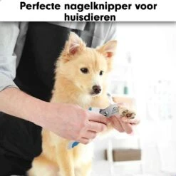 Professionele Nagelschaar|Nagelschaar Hond | Nagelschaar Kat| Nagelknipper Hond En Kat| Nagelknipper Kat| Nagelknipper Hond|NagelTang Dieren|Poot Verzorging -Honden Benodigdheden Verkoop 1200x1200 663