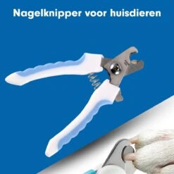 Professionele Nagelschaar|Nagelschaar Hond | Nagelschaar Kat| Nagelknipper Hond En Kat| Nagelknipper Kat| Nagelknipper Hond|NagelTang Dieren|Poot Verzorging -Honden Benodigdheden Verkoop 1200x1200 668