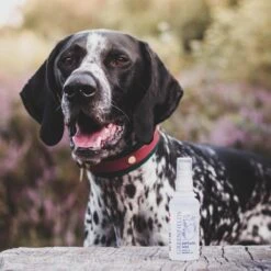 Hondenparfum Spray In 4 Geuren - Greenfields - Alchoholvrije En PH Neutrale Formule Tegen Onaangename Geurtjes - 50ml - Exotic -Honden Benodigdheden Verkoop 1200x1200 682