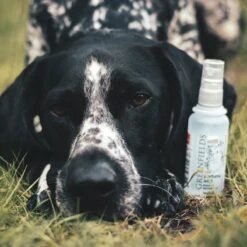 Hondenparfum Spray In 4 Geuren - Greenfields - Alchoholvrije En PH Neutrale Formule Tegen Onaangename Geurtjes - 50ml - Wild -Honden Benodigdheden Verkoop 1200x1200 690