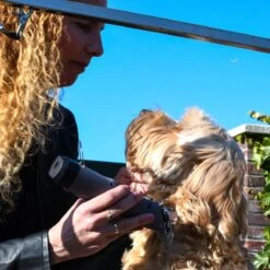 Clipr Ultimate 2-speed Hondentondeuse Op Accu -Honden Benodigdheden Verkoop 1200x1200 697