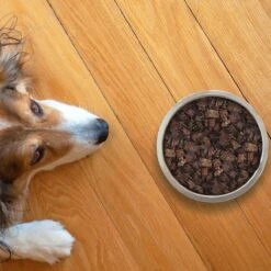 Topdiervoeding Lamslong Hondensnacks - Vers Gedroogd - Knapperig - 1 KG -Honden Benodigdheden Verkoop 1200x1200 7