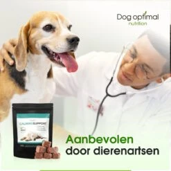 RUST EN KALMEREN CALMING Support 90 Stuks - Kalmeren - Antistressmiddel - Hond - Hondenkoekjes - Hondensupplementen - Honden - Puppy - Hondenvoeding -Honden Benodigdheden Verkoop 1200x1200 70