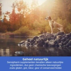 Sensipharm Bitterspray Anti Bijt Spray - Hond, Kat, Konijn & Vogel - Bitter Anti Kauw Knabbel Knaag - 100 Ml -Honden Benodigdheden Verkoop 1200x1200 713