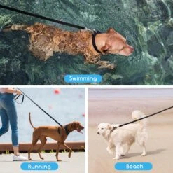 Nobleza Trainingslijn - Longeerlijn - Sleeplijn - Hondenlijn - Trainingslijn Hond - Speurlijn - 10 Meter - Zwart -Honden Benodigdheden Verkoop 1200x1200 735