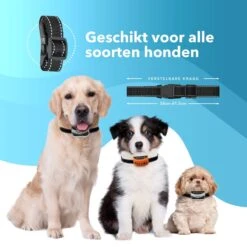 PET DOG® | Anti Blafband Voor Honden | 3 T/m 60 Kg | Oplaadbaar | Anti Blaf Band | Trainingsband | Vibratie En Geluid | Diervriendelijk | Shock Aan/uit Instelbaar -Honden Benodigdheden Verkoop 1200x1200 739