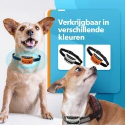 PET DOG® | Anti Blafband Voor Honden | 3 T/m 60 Kg | Oplaadbaar | Anti Blaf Band | Trainingsband | Vibratie En Geluid | Diervriendelijk | Shock Aan/uit Instelbaar -Honden Benodigdheden Verkoop 1200x1200 741
