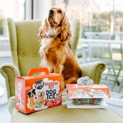 Smoofl Honden Lekkernij - Starter Kit Om Je Eigen Honden Ijs Te Maken, Kit Met 2 Ijsmixen Voor Honden, Pindakaas En Aardbei Smaak, Een Pootvormige Silicone Vorm - Voor 4 Hondenijsjes -Honden Benodigdheden Verkoop 1200x1200 75