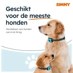 Simmy Anti Blafband - Diervriendelijke Opvoedingshalsband - Zwart En Blauw - Diervriendelijk - Zonder Schok - Anti Blaf Band Voor Grote En Kleine Honden -Honden Benodigdheden Verkoop 1200x1200 754