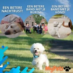 MyPets™ Anti-blafband - Anti Blaf Apparaat - Voor Kleine Honden En Grote Honden - Diervriendelijk - Opvoedingshalsband - Trainingshalsband - 2022/2023 Versie - Inclusief Batterijen 21 MyPets™ Anti-blafband - Anti Blaf Apparaat - Voor Kleine Honden En Grote Honden - Diervriendelijk - Opvoedingshalsband - Trainingshalsband - 2022/2023 Versie - Inclusief Batterijen -Honden Benodigdheden Verkoop 1200x1200 761
